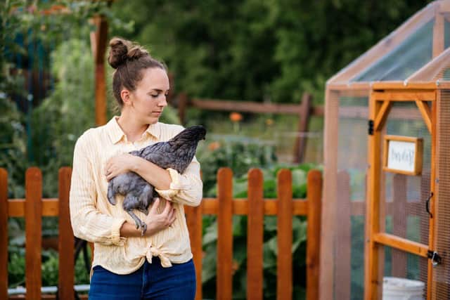 All bird keepers required to register their birds after the 1st October 2024