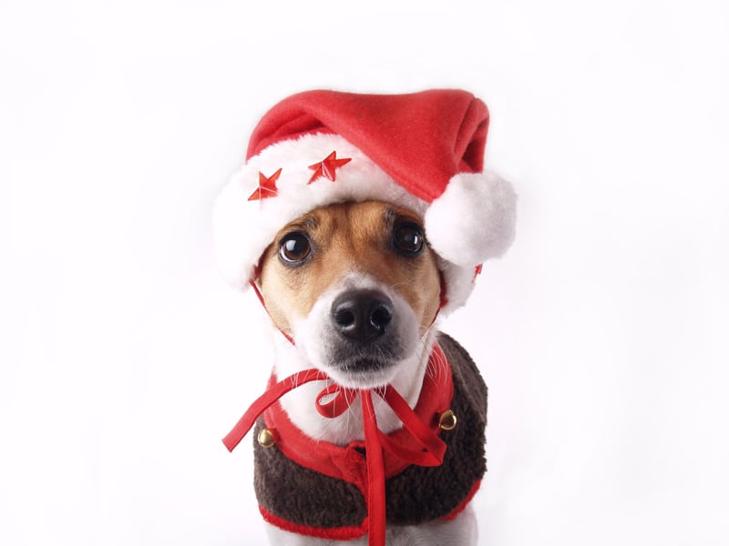 Santa gives them the sack!