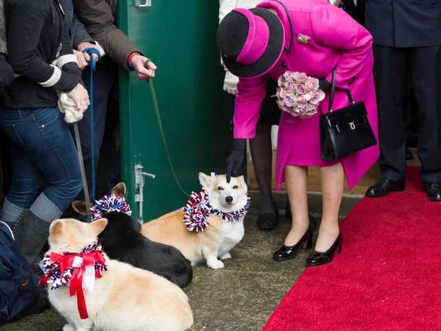 As many may suspect, the Queen treats her Corgis like royalty. They have their own designated room, their beds are changed daily, and their food is even prepared by a chef.