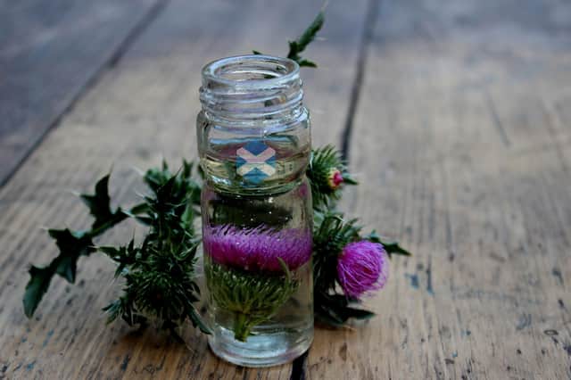 Scottish Thistles are just one of many plants you can cultivate in your homemade terrarium.
