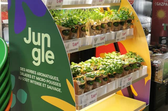 Jungle will use IGS’s indoor growing platforms to supply major French retailers. Picture: contributed.