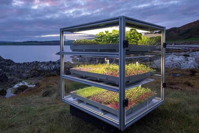 Vertical farms will be transported around the country during the Dandelion festival. Picture: Alan McAteer