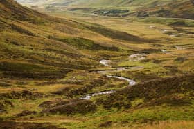 A stream through the Cairngorms. A warning has been issued over Scotland's water levels. Picture: Getty Images