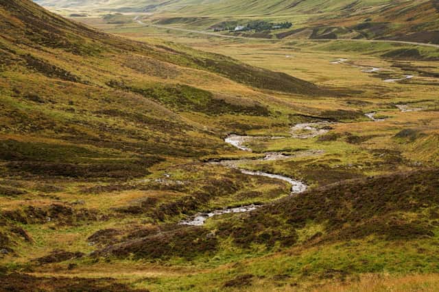 A stream through the Cairngorms. A warning has been issued over Scotland's water levels. Picture: Getty Images