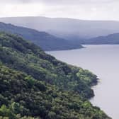 Under the stewardship of the RSPB: Glencripesdale nature reserve
Pic: Woodland Trust