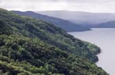 Under the stewardship of the RSPB: Glencripesdale nature reserve
Pic: Woodland Trust