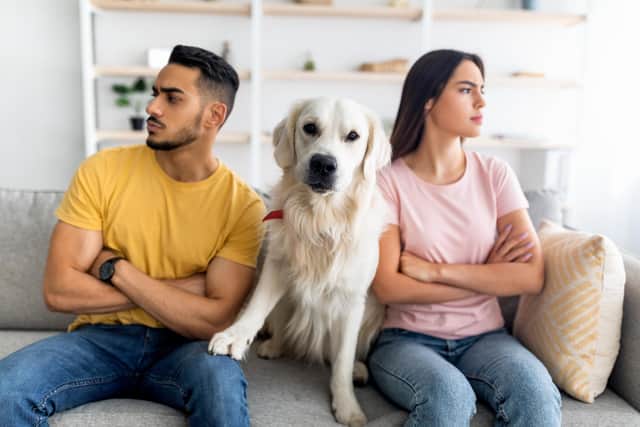 Sorting out who gets the furniture can be a lot easier than deciding who gains custody of a pet (Picture: Adobe)