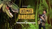 Book tickets to enjoy an exciting pre-historic adventure with the most up-to-date dinosaur show in 66 million years! Picture - supplied.