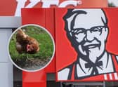 KFC was the only brand to achieve “leading” status with an overall score of 92%, followed by Nando’s on 78% to reach a level of “good”.