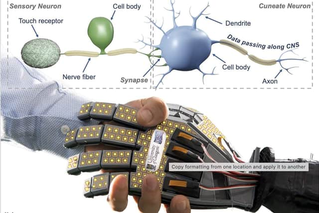 A new generation of smart robots could have human-like sensitivity
Pic: Glasgow University