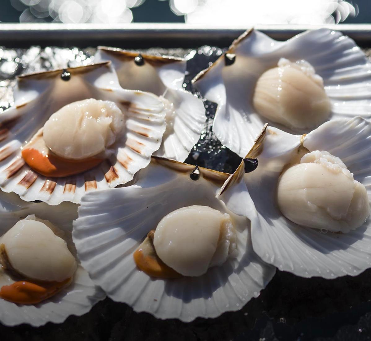 Ethical shellfish and more delivered to your door through Ethical