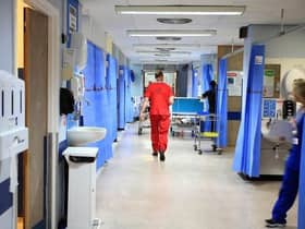 Specialist doctors in Scotland have carried out a record number of heart transplants in the past year, the Scottish Government has said.