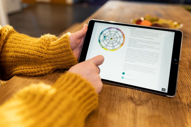 Insights travaille avec plusieurs des plus grandes entreprises du monde, utilisant son modèle psychologique mémorable en quatre couleurs pour aider les membres de l'équipe à développer des compétences humaines cruciales.