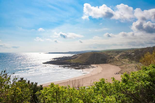 Coldingham Bay Pic: Tracey Bloxham