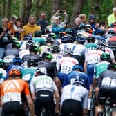 The peloton climb the hill at Stow during stage seven of last year's AJ Bell Tour of Britain from Hawick to Edinburgh.