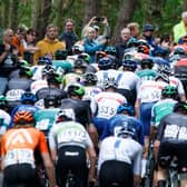 The peloton climb the hill at Stow during stage seven of last year's AJ Bell Tour of Britain from Hawick to Edinburgh.