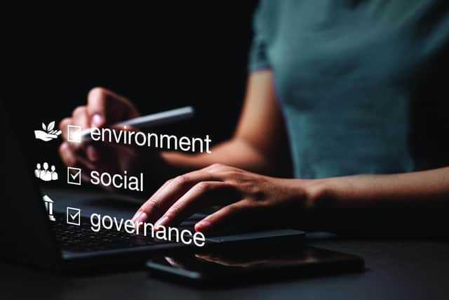 ESG, or environmental, social and governance, is at the top of the agenda and a major driver of growth for law firms. Picture: AdobeStock