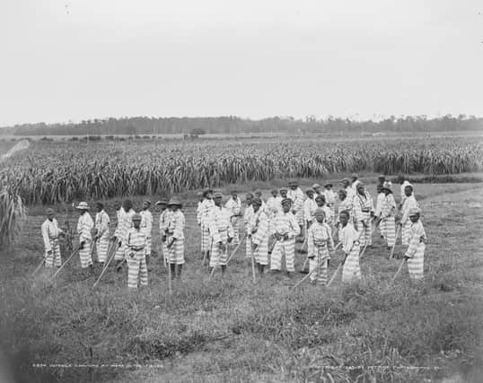 Young US prisoners in a chain gang in 1903. PIC: National Library of Congress.