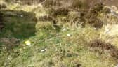 A picture from the Moors in Gourock