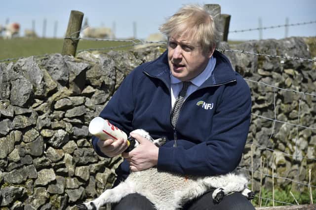 Boris Johnson feeds a lamb at Moor Farm in Stoney Middleton, England (Picture: Rui Vieira/pool/AP)