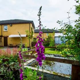 Drummohr Care Home
pic: Carehome.co.uk
