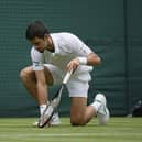 Novak Djokovic takes another tumble