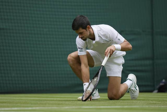 Novak Djokovic takes another tumble