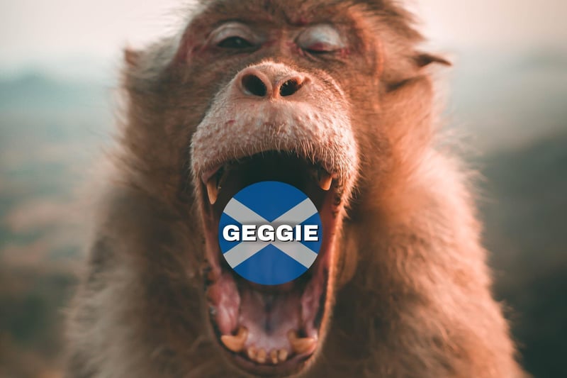“Geggie” is a word that is notoriously not used in polite conversation, it means a person’s mouth. Often it is used during a discourse like “shut your geggie” (shut your mouth!)