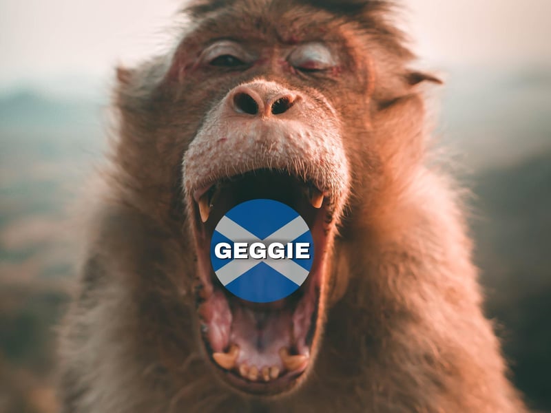 “Geggie” is a word that is notoriously not used in polite conversation, it means a person’s mouth. Often it is used during a discourse like “shut your geggie” (shut your mouth!)