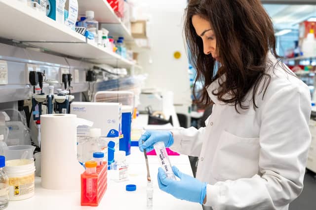 Researchers in both Edinburgh and Glasgow will join together