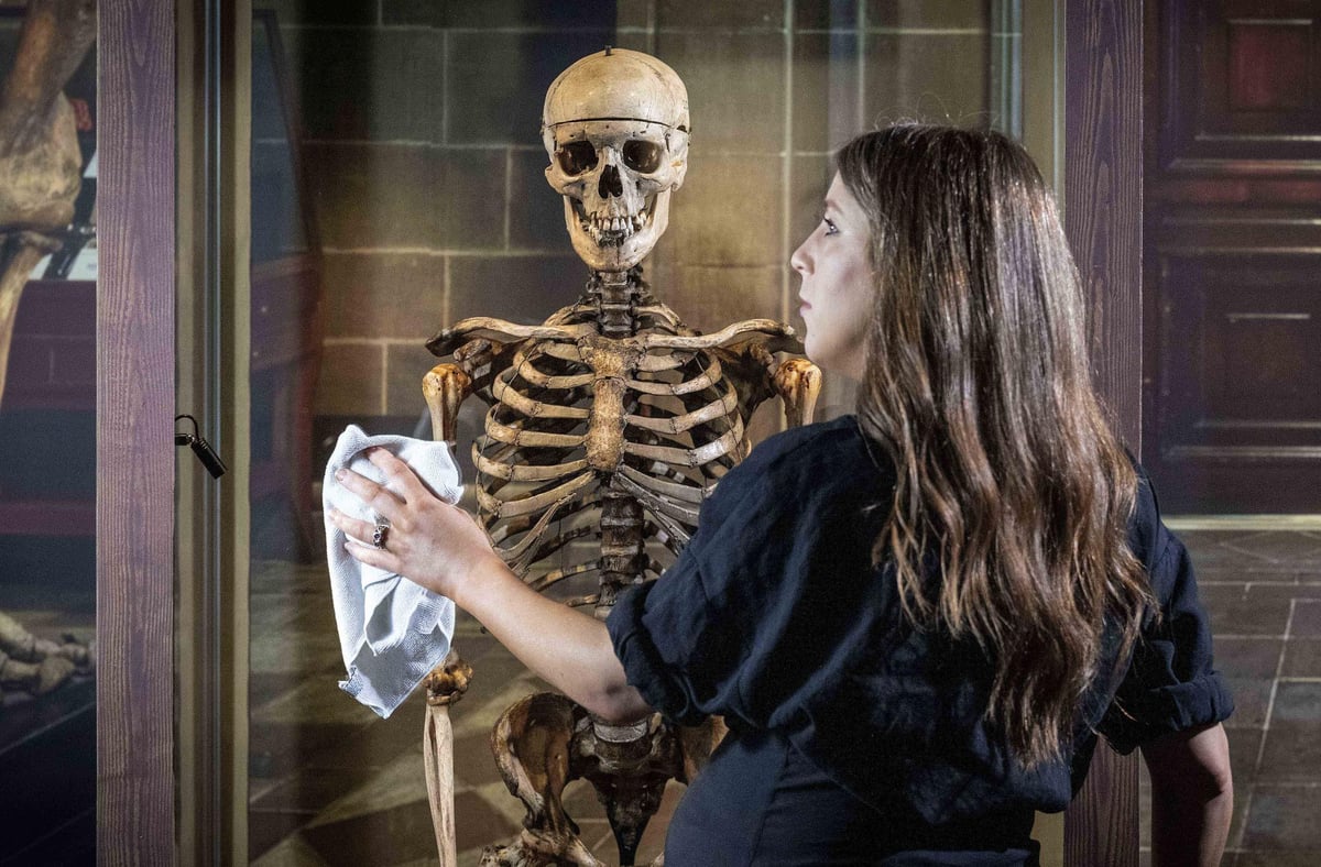 National Museum bosses reveal cutbacks are on cards over £2.1m ‘funding gap’