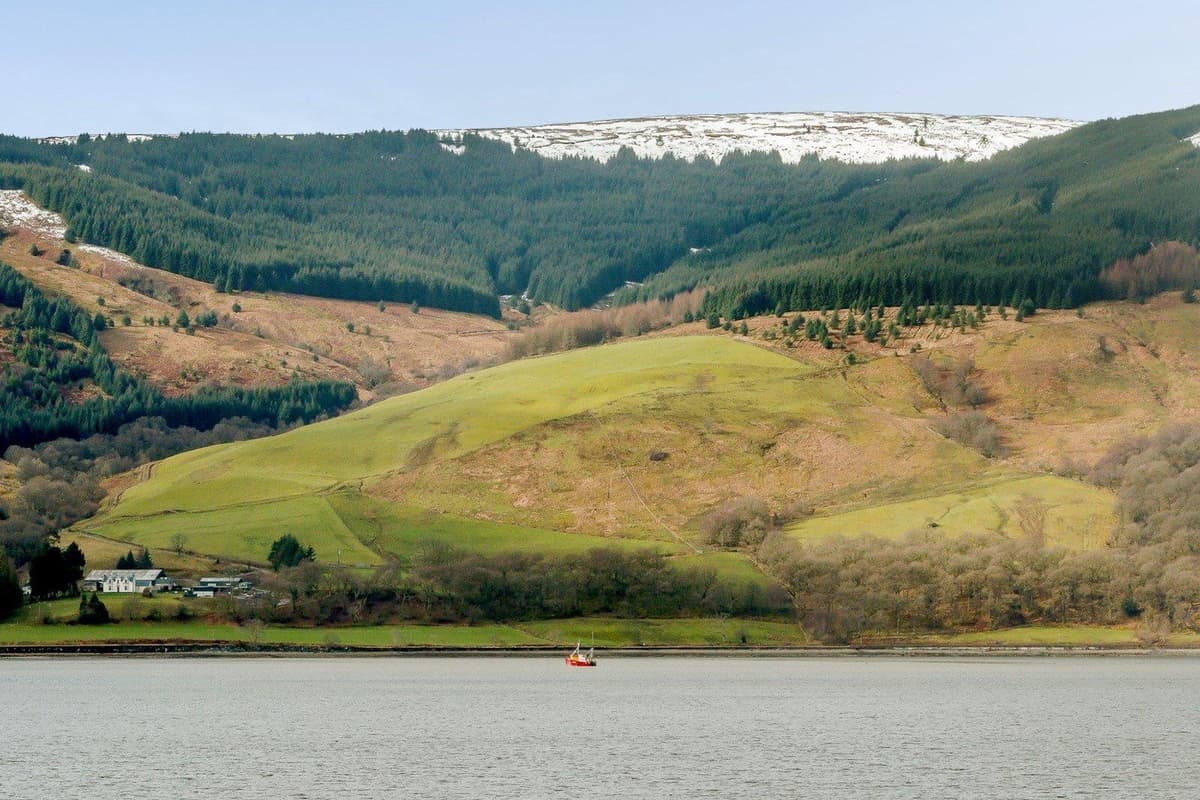 Take A Look Around The Incredible Home From The Nest TV Show That Is take-a-look-around-the-incredible-home-from-the-nest-tv-show-that-is