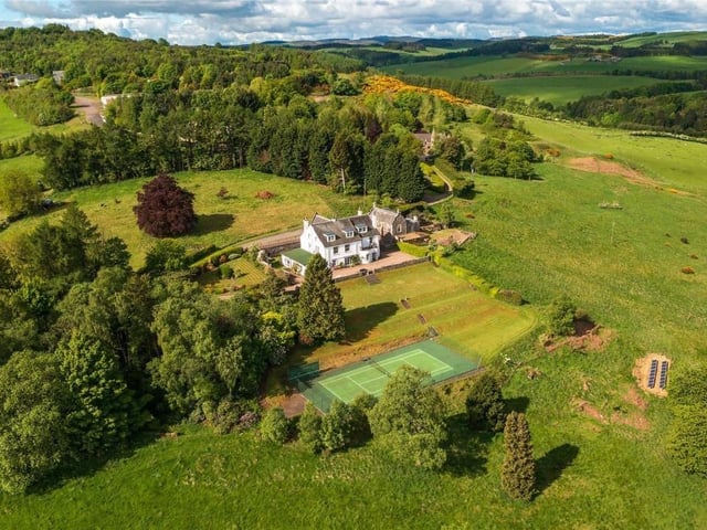 Aerial view of house and grounds.