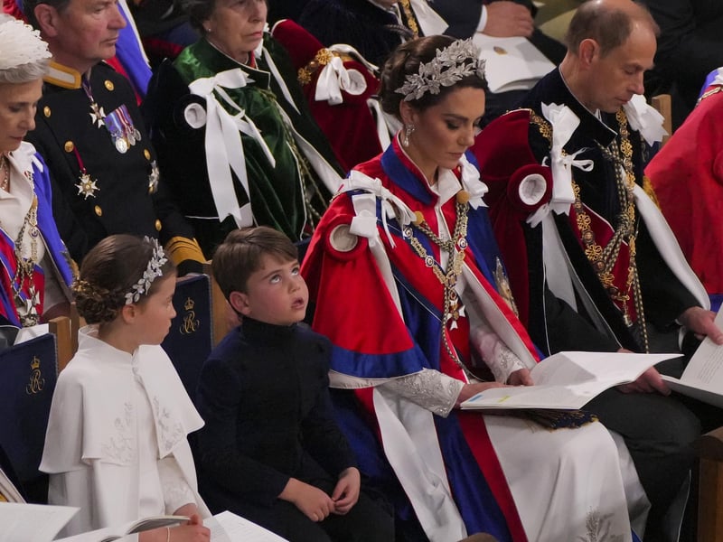 Prince Louis is the third child of Prince William and Catherine, the previous Duke and Duchess of Cambridge.