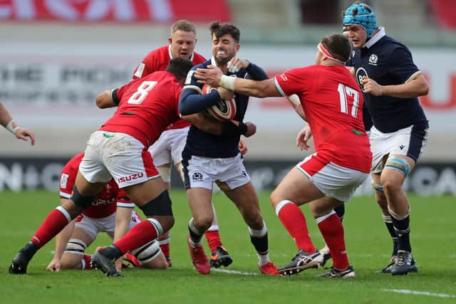 Adam Hastings was injured in Scotland's win over Wales and is a doubt for the Autumn Nations Cup.