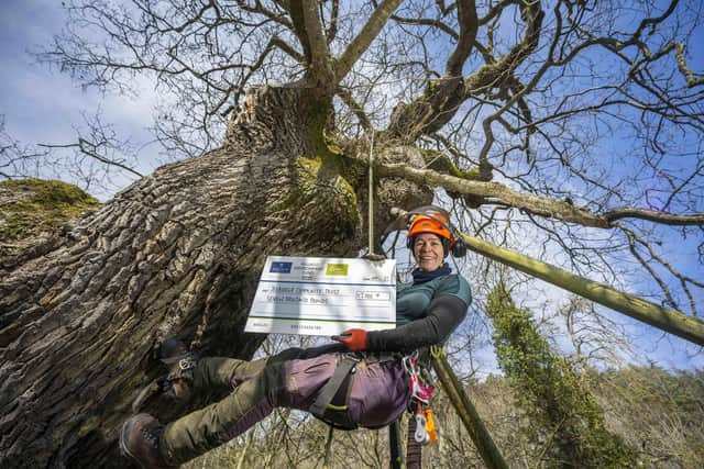 Arborist Kirsty Smith with a £7,000 cheque from the Fallago Environment Fund which is part-funding preservation work on ancient Jed Forest oak, the Capon Tree.
