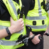 Police are looking for a man after a teenager was sexually assaulted in the early hours of Sunday morning.