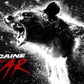 Cocaine Bear is set to be one of the hottest movies of 2023. Cr: Universal Pictures