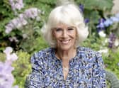 Camilla, Duchess of Cornwall, poses for an official portrait to mark her 75th birthday, at her home in Wiltshire, England. (Chris Jackson/Clarence House/PA via AP)