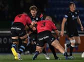 Richie Gray takes the game to Cardiff during Glasgow Warriors' 52-24 win at Scotstoun. (Photo by Ross MacDonald / SNS Group)
