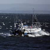 The Scottish Government is consulting on plans to protect large areas of the sea (Picture: Jeff J Mitchell/Getty Images)