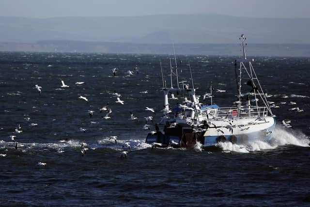 The Scottish Government is consulting on plans to protect large areas of the sea (Picture: Jeff J Mitchell/Getty Images)
