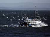 The Scottish Government is consulting on plans to protect large areas of the sea (Picture: Jeff J Mitchell/Getty Images)