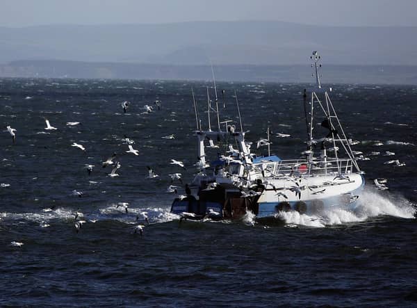 The Scottish Government is consulting on plans to protect large areas of the sea (Picture: Jeff J Mitchell/Getty Images)