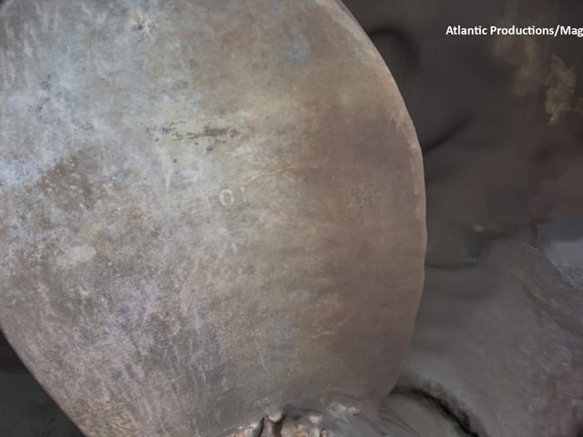 A serial number if visible on one of the propellers