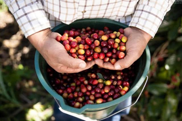 The partnership with coffee farmers is aimed at introducing measures that will reduce emissions and the environmental impact of their operations.