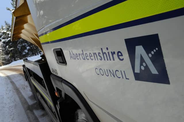 The council will press ahead with its snow wardens scheme.
