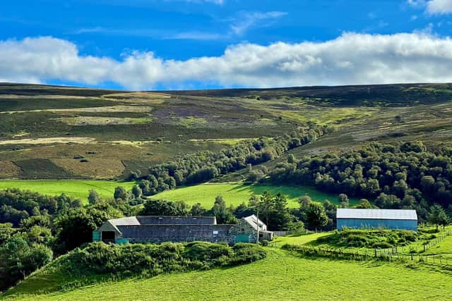 Inverharroch Farm and steadings, owned by the Cabrach Trust, are soon to be home to a new distillery and heritage centre which is at the heart of a major regeneration project in the area – if plans go ahead, a 22-turbine wind farm will be sited on the ridgeline, which locals say will dominate the horizon and overshadow the Lower Cabrach community