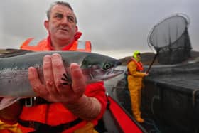 The salmon industry has the potential to boost the economy
