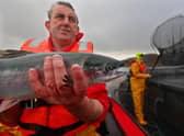 The salmon industry has the potential to boost the economy